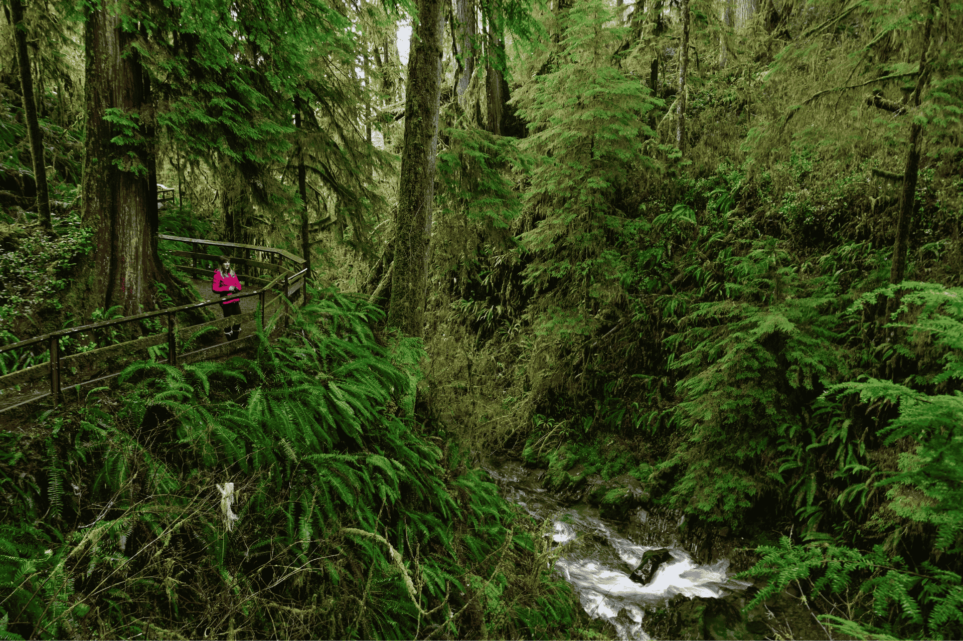 Seven Snow-Free Winter Hikes in the Seattle Area