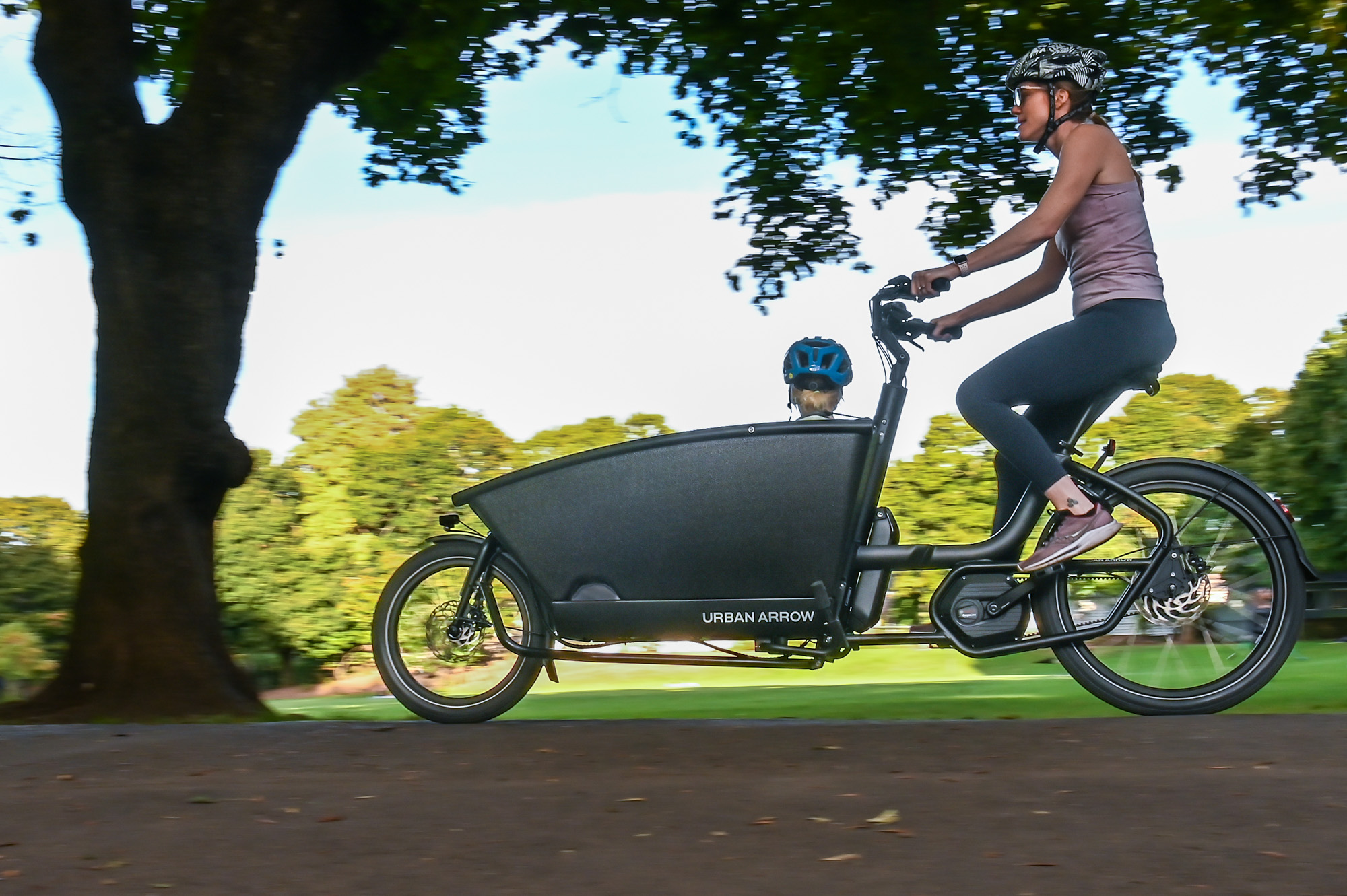 Urban Arrow Family Cargo Line With Smart System Bike Review