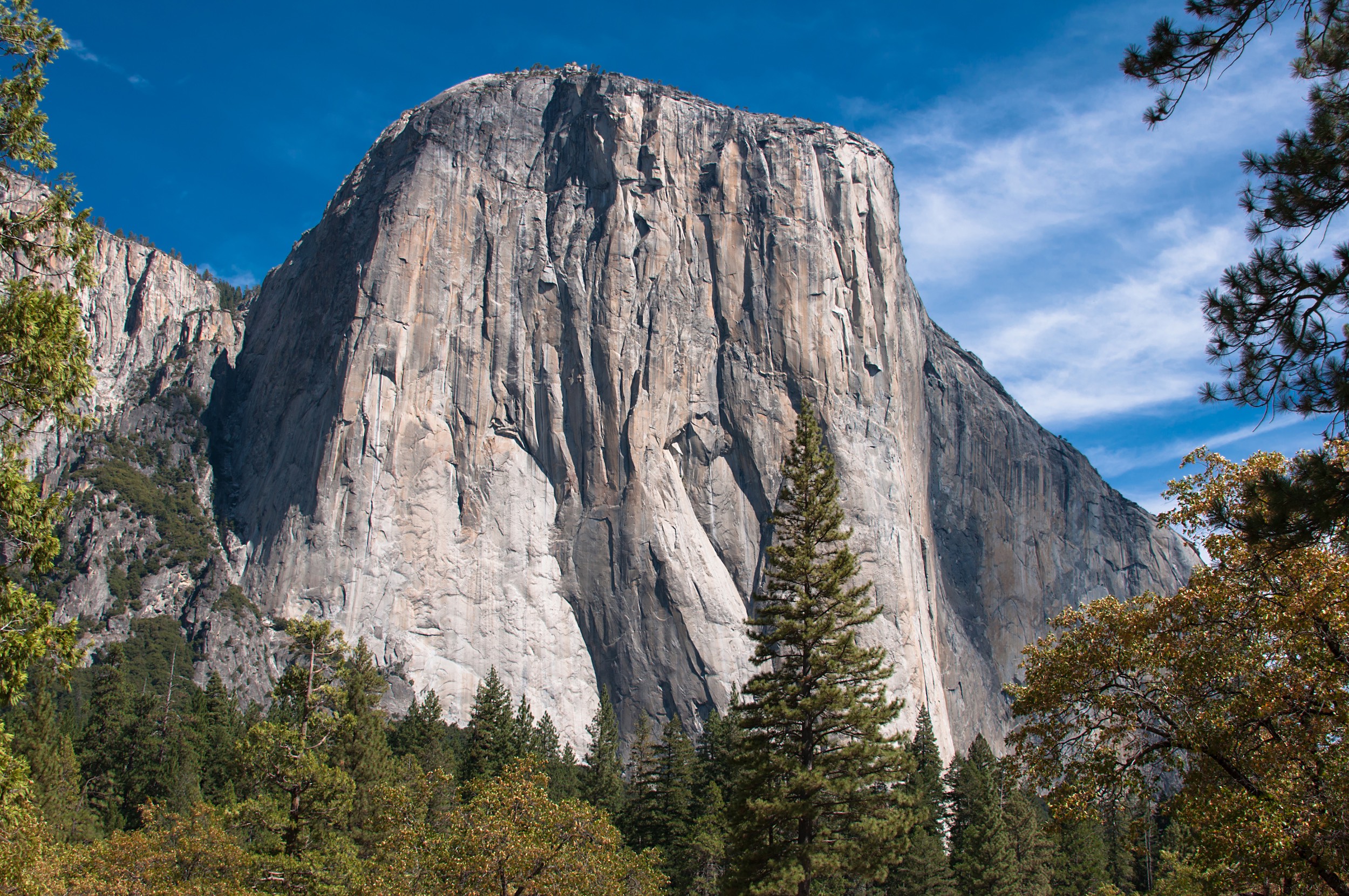 First Attempt, No Falls: Babsi Zangerl Achieves First Flash of El Capitan